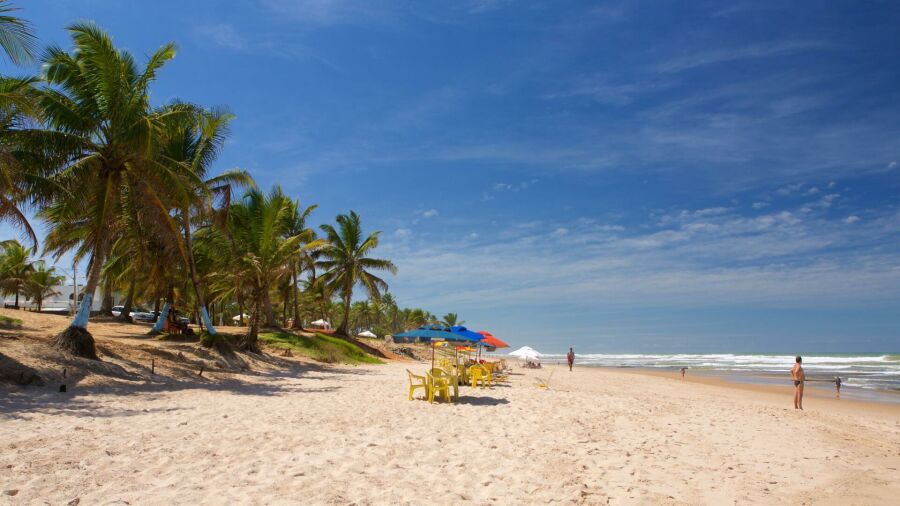 Imagem Praia do Flamengo 